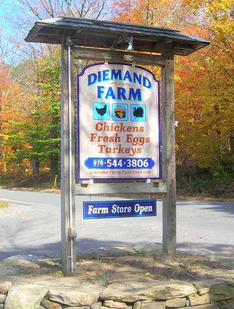 Diemand Farm — post and panel sign set below the frost line