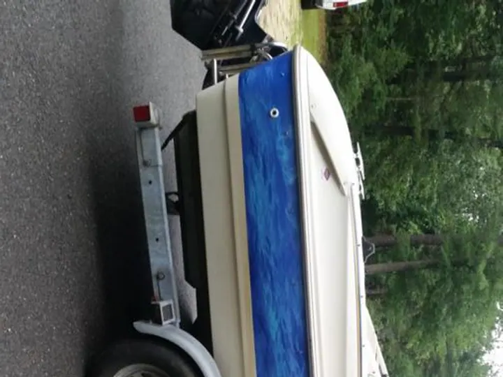 Boat wrap graphic — Specialty Signage by Hale Custom Signs