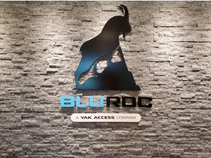 BluRock LLC Dimensional Lettering — Specialty Signage by Hale Custom Signs